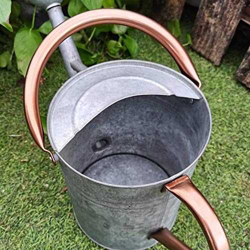 yourjoy Steel Watering Can Sliver Galvanized Steel Watering Can with Copper Accents,Removable Rosette-Diffuser,One-Gallon