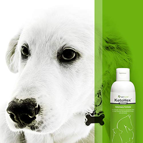 Vet One Ketohex Shampoo, 8 oz