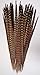 25 pc, Ringneck pheasant tails, 15-20" HAND SELECTED, per package of 25, by Lamplight Feather, Inc.