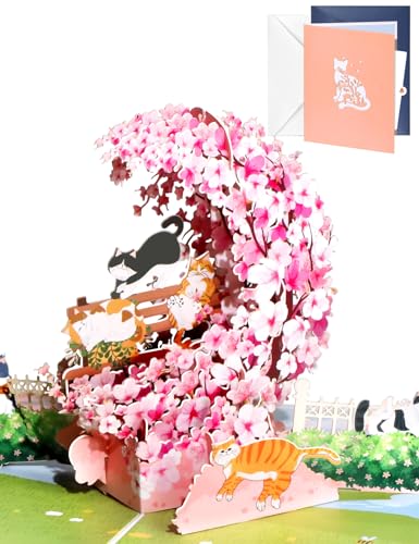 JMHACHY Tarjeta desplegable para el día de San Valentín, tarjetas de aniversario 3D con sobres, divertida tarjeta de felicitación para el día de San Valentín para él, su marido, esposa, amigos, novio,