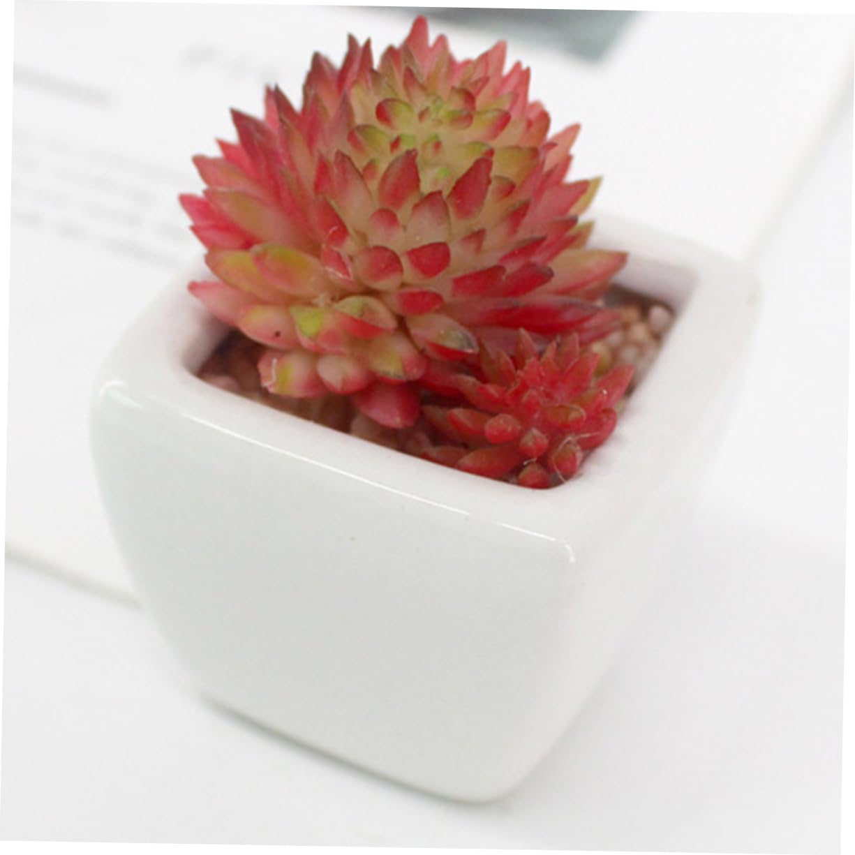 Succulente Artificielle Mini Pot Céramique Lot de 6 Set de Pièces Blanc