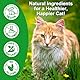Antibiotics for Cats - Pet Supplements Supports Immune, Allergy Relief, Multivitamin, Health Supplies Cats UTI Antibiotics, Chicken Flavour - 2 FL Oz / 60ml