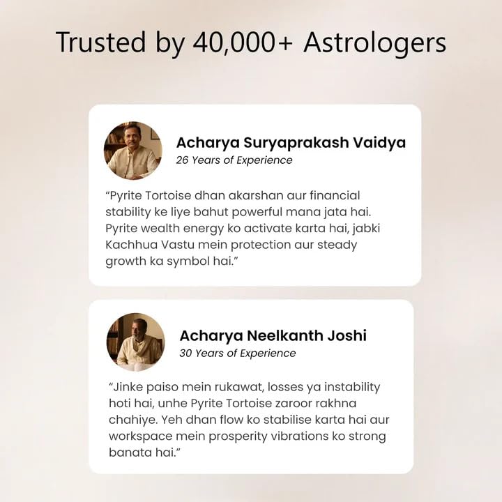 Image of Astrotalk Pyrite Tortoise (Kachhua) 5.5x1.5 Inch | Pyrite Resin Turtle for Good Luck & Wealth | Crystal Tortoise for Good Luck for Home | Vastu Items for Housewarming Gift | Home Decor for Living Room