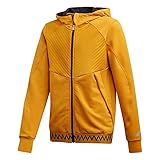 adidas Kinder C.Rdy Kapuzensweat, Powber, 110