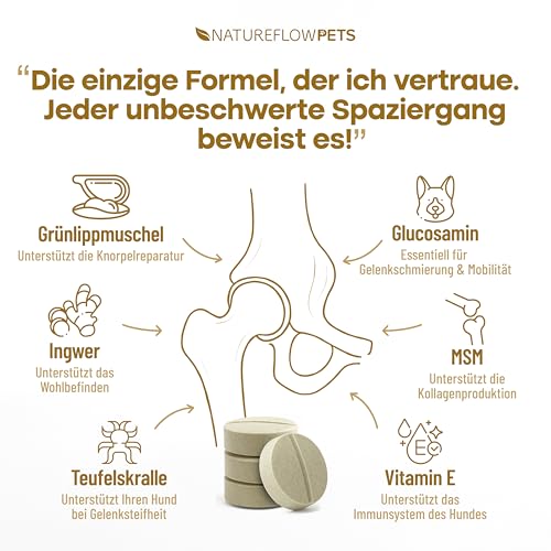 Gelenktabletten Hunde – Test SEHR GUT Made in Germany mit Grünlippmuschel, MSM und Teufelskralle - Keine Kapseln, hohe Akzeptanz Gelenktabletten Hund - 100 Stück