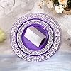 Amazon.com: Maxcheck 100 Pack Purple Silver Plastic Plates Disposable ...