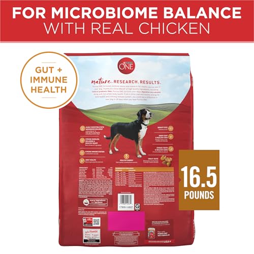 Purina ONE Chicken and Rice Formula Natural Dog Food - image 9