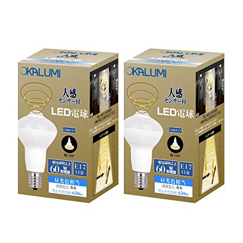 人感センサー Led電球e17 小型 電球 蛍光灯 通販 価格比較 価格 Com