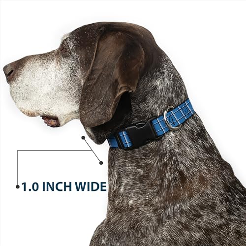 Collier réglable 16-58,4 cm Buckle Down à clip plastique robuste - 7