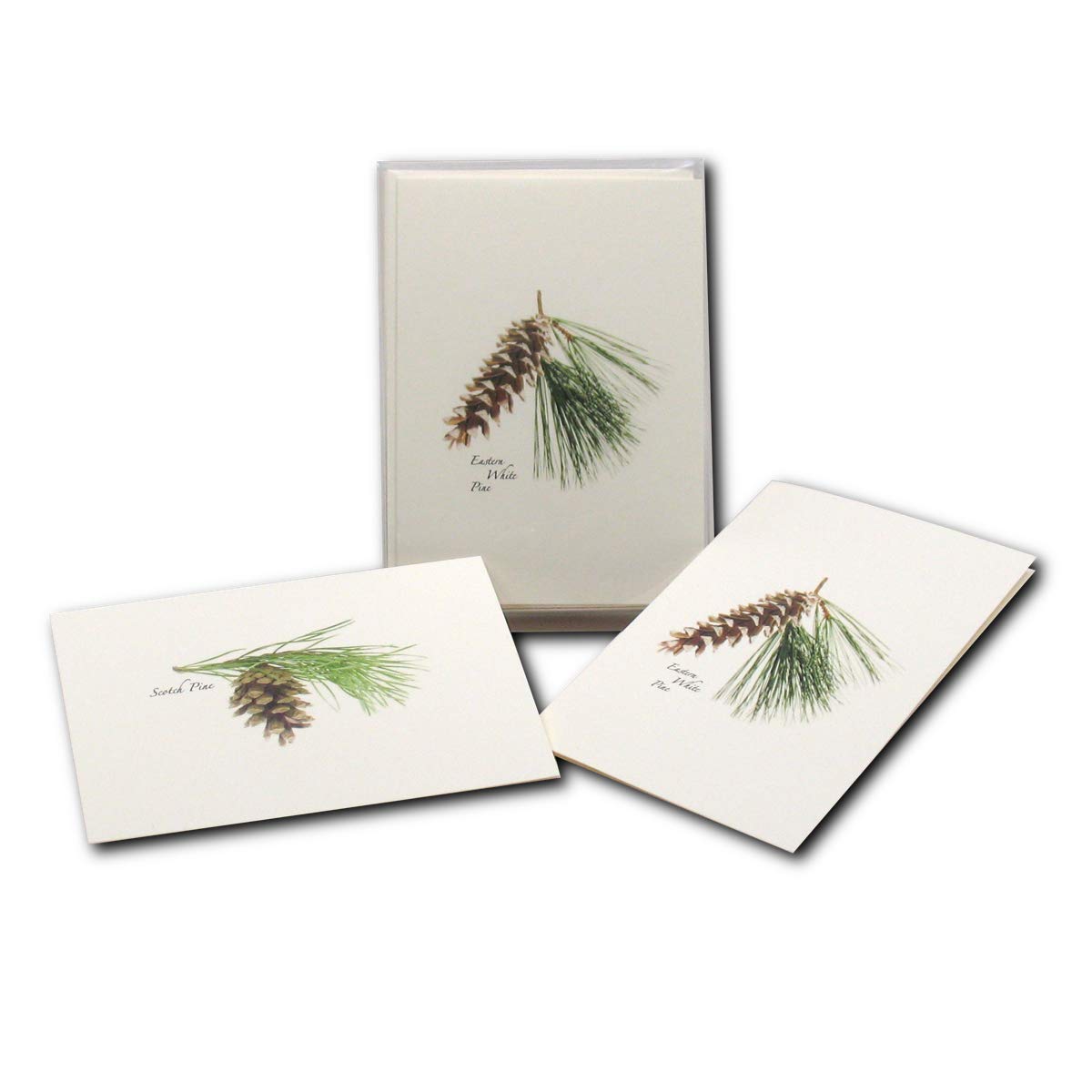 Earth Sky + Water Pinecone Notecard Set - 8 Blank Cards With Envelopes (4 Designs)