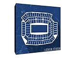 Lucas Oil Stadium - Football Seating Map - 12x12 Gallery Wrapped Canvas Wall Art