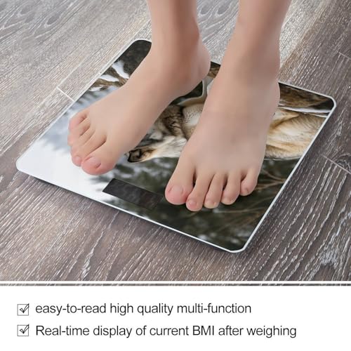 Báscula digital de baño precisa con vidrio templado 400 lb miniatura 5