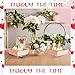 Tatuo 150 Sets Valentine Charcuterie Boxes with Clear Lids and Rope Square Cookie Pink Disposable Dessert Boxes for Valentine's Day Party, Sandwich, Dessert Containers, 3 Sizes