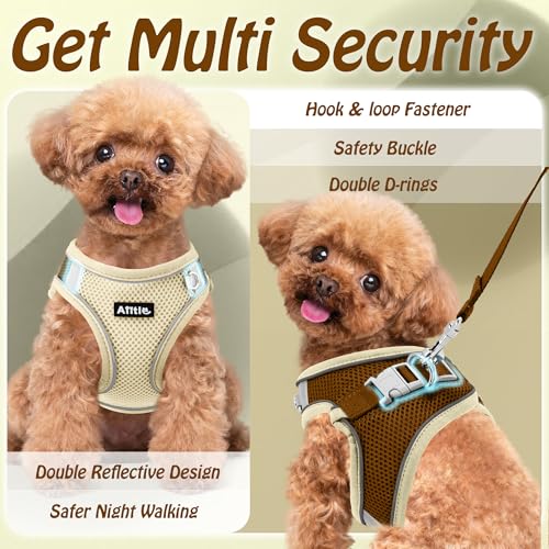 AIITLE No Pull Hundegeschirr, Step in einstellbares Hundegeschirr mit gepolsterter Weste, Hundeleine mit weichem gepolstertem Griff, leicht anzulegen für kleine und mittlere Hunde Beige S