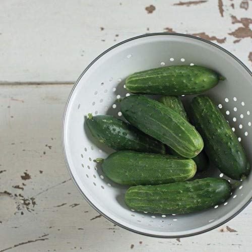 Amazon.com : Jackson Supreme F1 Cucumber Seeds high yields of Dark