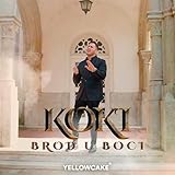  Brod u boci