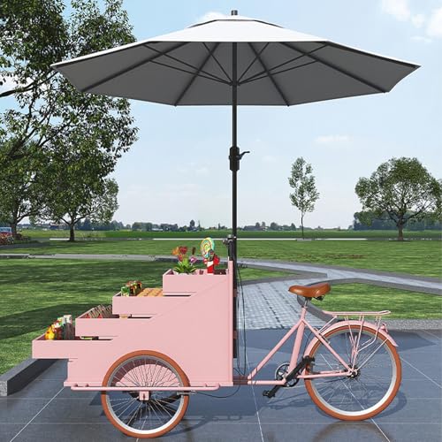 LJYKBFL Carrito de Venta de Triciclo, Triciclo de Gran Capacidad con Pedal móvil para Bebidas y refrigerios con sombrilla, Utilizado para Vender en Puestos Diversos Alimentos o Flores, C