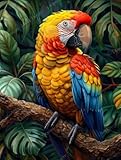 N39A Kit de peinture diamant animal pour adultes - Petit format - 30 x 40 cm - Perroquet en cristal - Kit d'art pour adultes - Perçage carré 5D - Points de broderie - Peintures artisanales