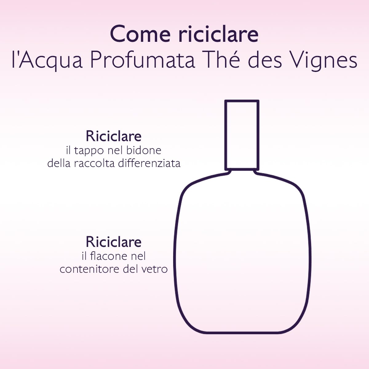 Caudalie Acqua Profumata Thé des Vignes – Fragranza Dolce e Sensuale, Note di Zenzero Neroli e Muschio Bianco, 92% Ingredienti di Origine Naturale, Senza Coloranti, Vegano, 50 mL