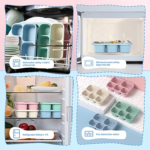 Bento Box 4-Pack Wheat Material