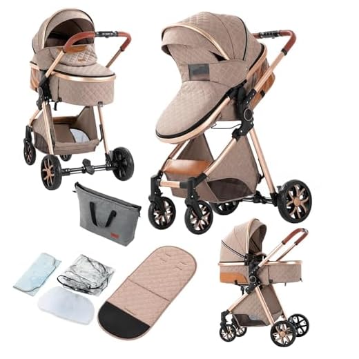 Best umbrella stroller babylist 2-in-1 Convertible Baby Stroller