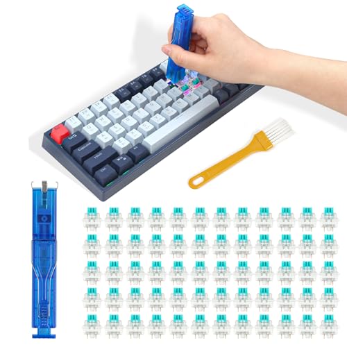 CHERLU 60 Pcs Mechanical Keyboard Switches 3-Pin Clicky...