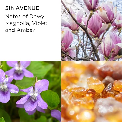 Perfumes, Beauty Imagen adicional