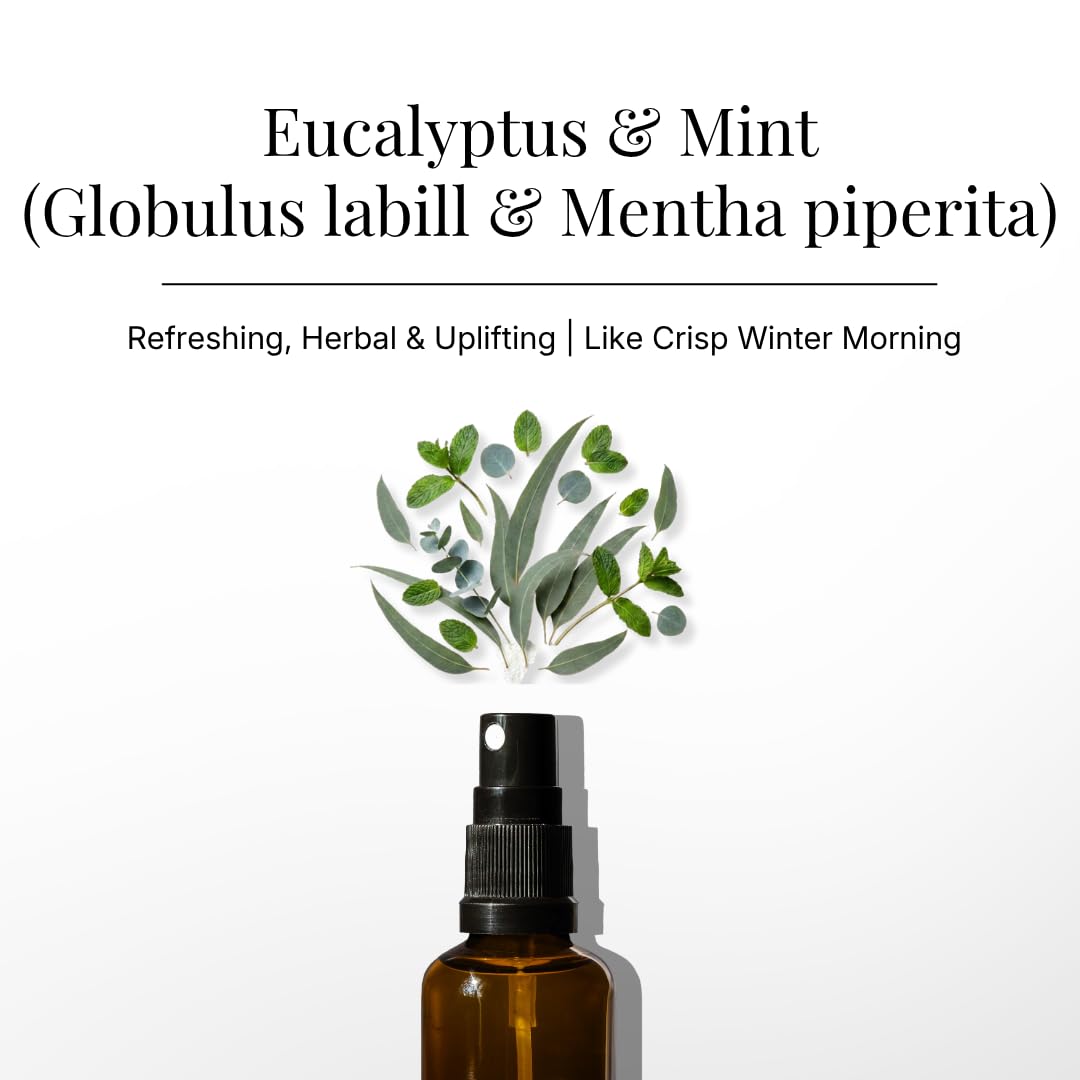 Eucalyptus & Mint Air Freshener Spray for Room & Linen 100ml by Aromafume view 2