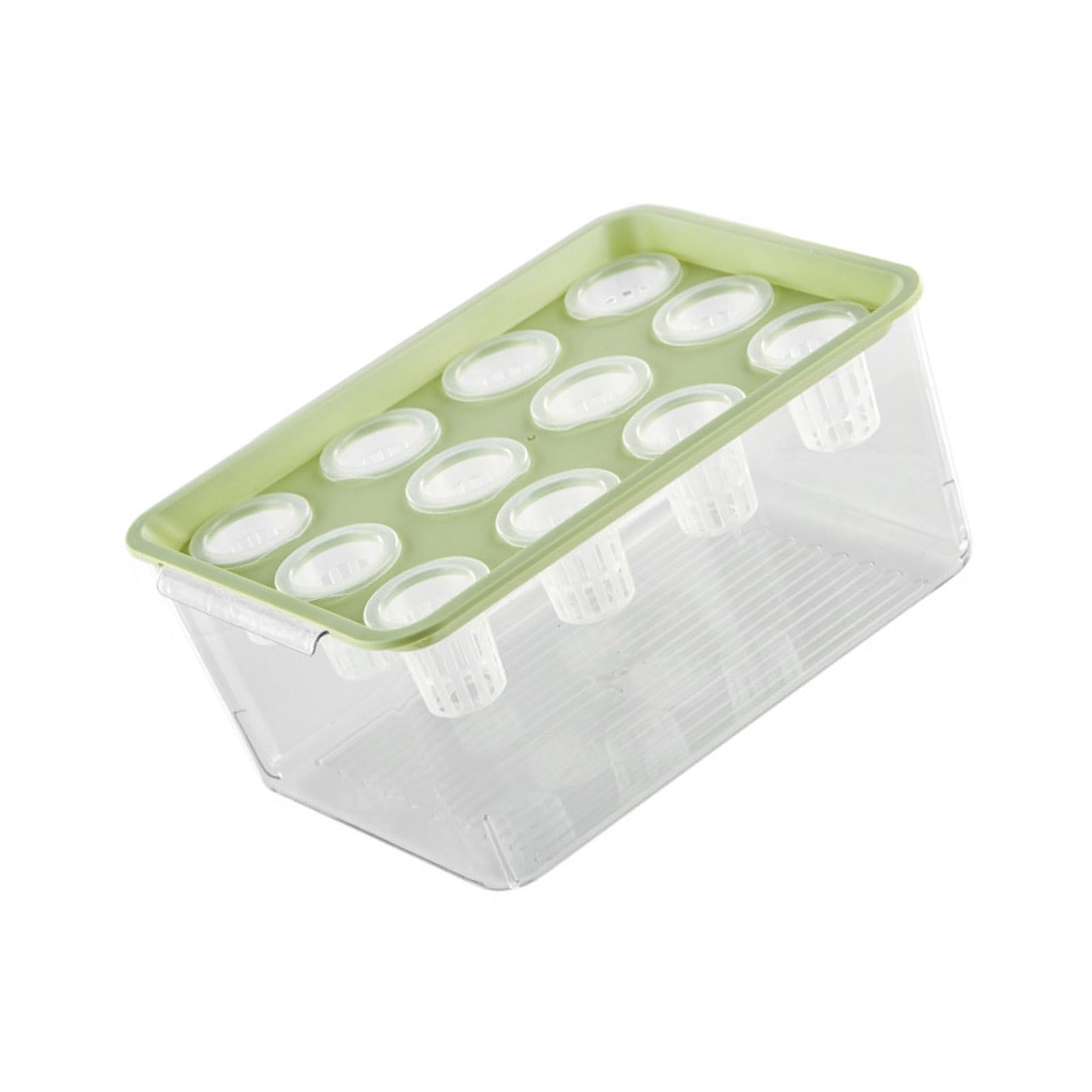 Rxgiasup Multi Purpose Propagation Box Container for Vegetables Indoor Plant Gardens and Learning Activities Pellucid Seedling Tray