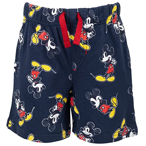 Image of Disney T-Shirt & French Terry Shorts Set Toddler to Big Kid Sizes (2T - 14-16)