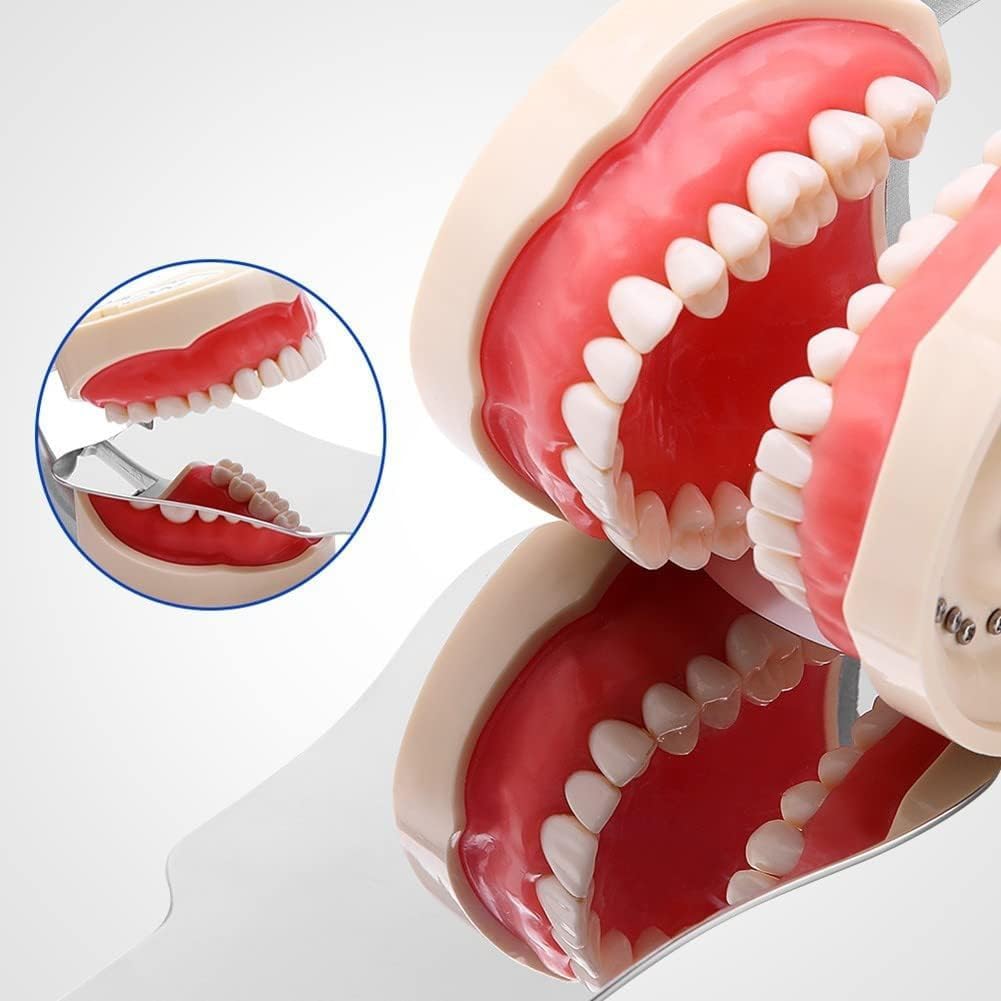Manico per Specchietto Dentale, Kit di cura dentale, Riflettore ortodontico fotografia, Kit di cura dentale con Denti Luminosi a LED, Specchi per Fotografia Dentale
