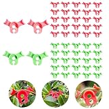50 Stück Pflanzenbieger Pflanzentrainer Pflanzenstützclip für Niedrige Belastung, Pflanzenclip Biegeclips für Pflanzentraining, Pflanzen Trainer Clips für Pflanzenzweige Biegen von Pflanzenstielen