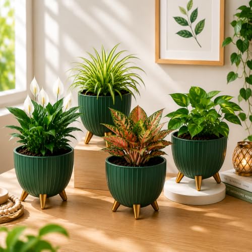 Image of (7 Inch) Plastic Flower Pot for Indoor Outdoor Plants with Stand, Decorative Ribbed Planter Pot with Legs, Round Gamala for Living Room, Pot for Office Table (Green, Pack of 1)