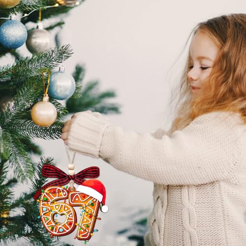 67 Ornament - image 2
