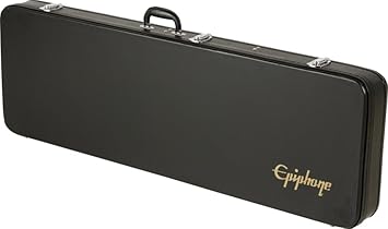 epiphone thunderbird bass case