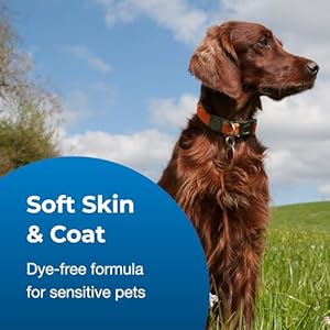 Pet ag fresh n clean 2 n 1 conditioning shampoo baby powder scent  18 oz  moisturizes with vitamin e  aloe vera  strengthens  repairs coats  soap free   cucciolini doodles