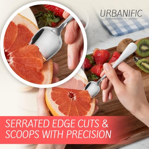 Grapefruit Spoons – Serrated Edge Stainless Steel Spoons to Easily Cut Citrus Fruits like Grapefruit, Oranges & Kiwi – Polished Finish, Dishwasher Safe - 2 Pack