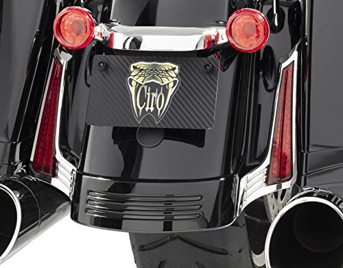 Luces LED para panel trasero CIRO cromadas para motocicleta miniatura 2