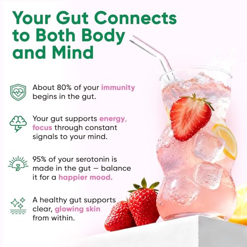 Image of Venture Pal Sugar Free Hydration Packets + Gut Health Electrolytes Powder