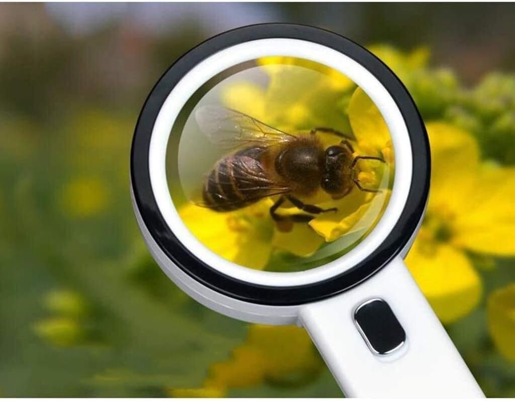 Magnifying Glasses Magnifier for Reading Hd Magnifying Glass-Magnifying Glass, High Magnification Handheld Magnifying Glass with 30X Reading Magnifier Head Mount Magnifier Safehappy