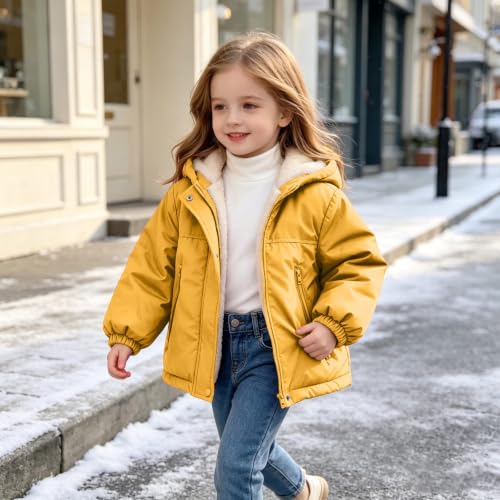 Luuegef Ropa para Niña De 2 Años Baby Puffer Jacket Toddler Fleece Lined Jacket Girl Winter Hooded Warm Cute Puffer Coat Casual Ropa para Niña De 8 Años Back to School Outfits 8 Years - image 9
