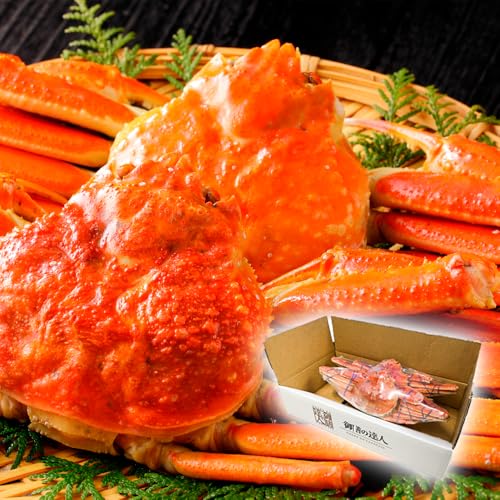 yV̒Blz{CYCKj p 500gO2t v1.0LZbg VNpbN Ⓚ 䥂 {C  I I CN O Mtg v[g j  CNBBQ BBQ