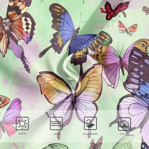 Colorful Butterfly Toddler Girls's Underwear 2T 202c11503