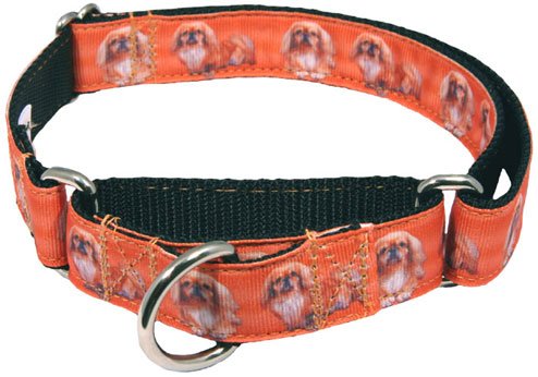 Country Brook Petz - Pekingese Ribbon Martingale Dog Collar Closeout (1 Inch, Medium)