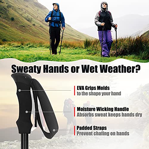 Perkanion Bastoncini da Trekking Telescopico