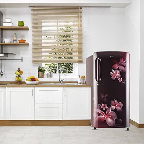 Image of LG 215 L 3 Star Direct-Cool Single Door Refrigerator (GL-B221ASPD, Scarlet Plumeria, Moist 'N' Fresh)