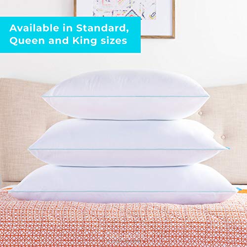 LinenSpa Shredded Memory Foam Pillow Deals, Coupons & Reviews