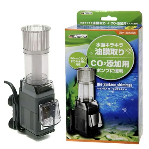 J~n^ Rio+ T[tF[XXL}[/ (60HzE{np)