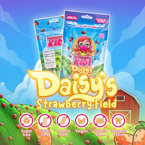 Image of Bubblegum Kids Daisy's Strawberry Field Sugar Free Gum | Strawberry Flavor Sugarless Gum with Xylitol | Low Calorie Candy Alternative for Kids & Adults | Resealable Bag, 55 Pieces Per Pack, 6 Pack