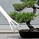 VIFERR Bonsai Rechen mit 3 Zinken Edelstahl-Wurzelrechen Bossai Wurzelkralle Gartenwerkzeug mit ergonomischem Griff für Gartenarbeit Pflanzen Blumentöpfe zum Lösen von Erde